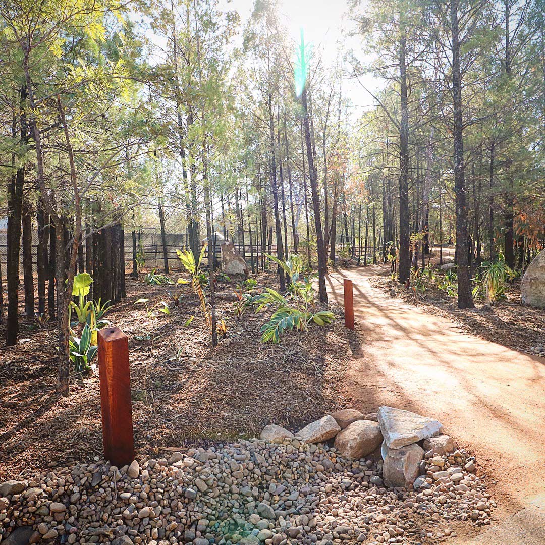 dirt path