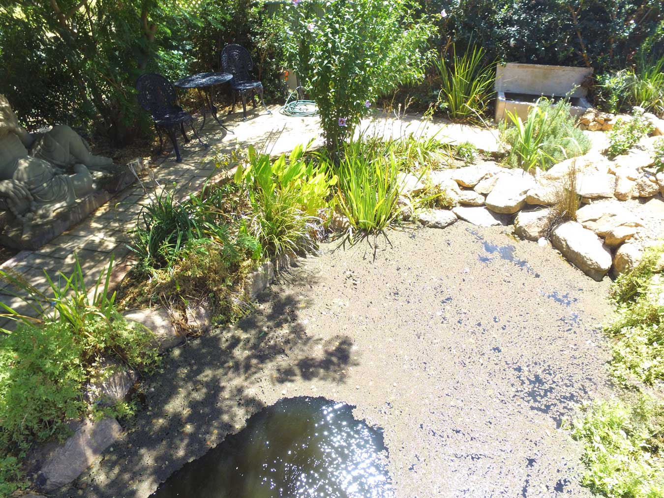 residential-pond