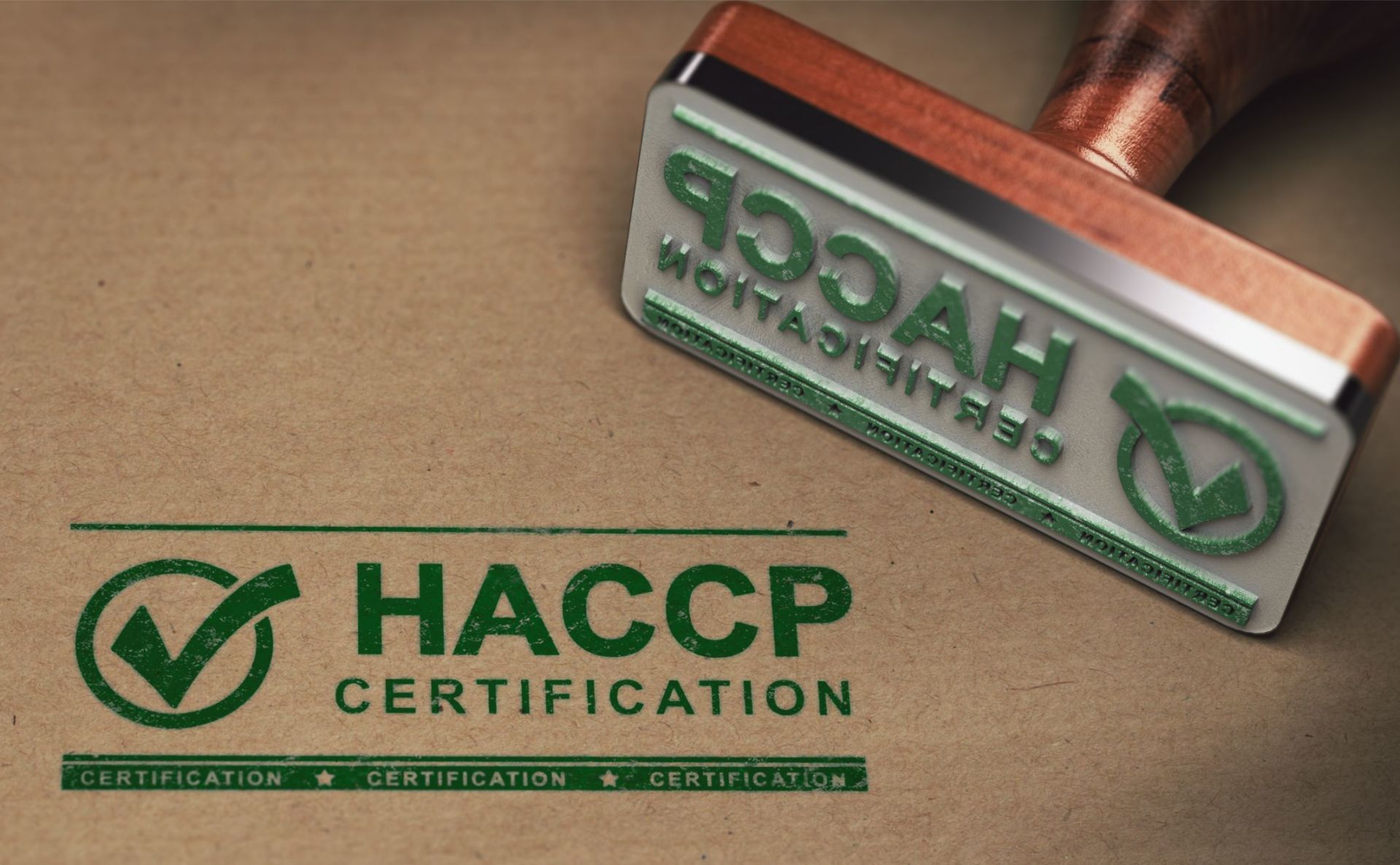 Monitoraggio H.A.C.C.P.