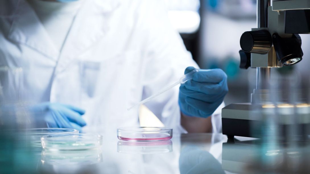 analisi di laboratorio