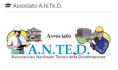 A.N.T.E.D. logo