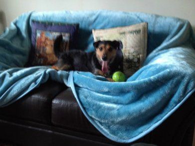 Ernie