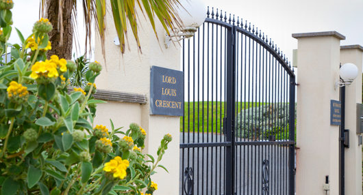 automated gate