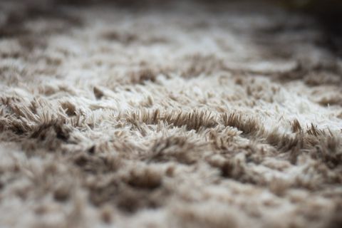 Carpet — Homosassa, FL — Carol's Interiors & Floors Carpet — Homosassa, FL — Carol's Interiors & Floors