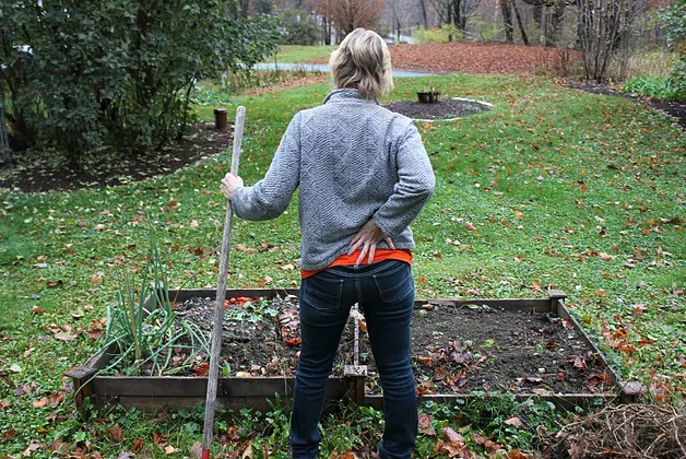 Person raking leaves in a garden, holding their lower back as if it is sore.