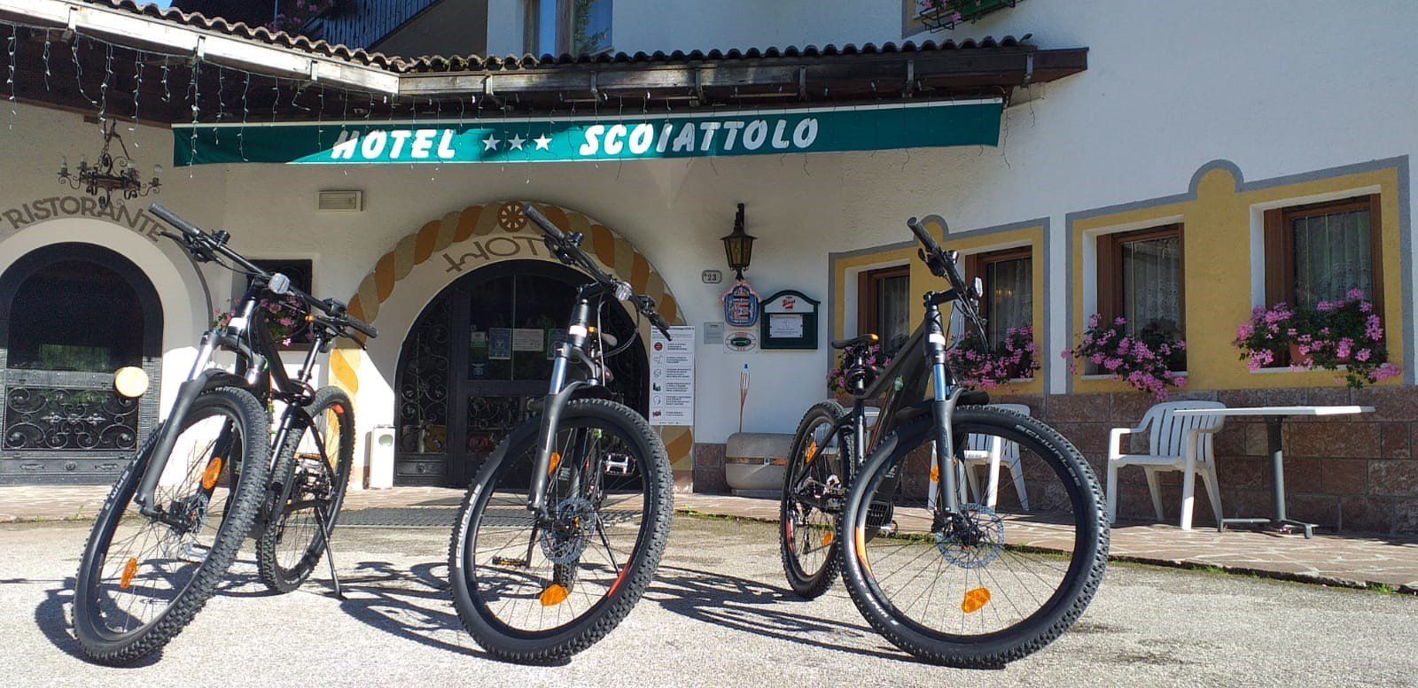 Albergo scoiattolo a falcade noleggio diretto mtb