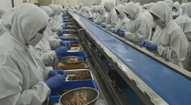 Workers in white protective suits and masks packing food products on a conveyor belt.