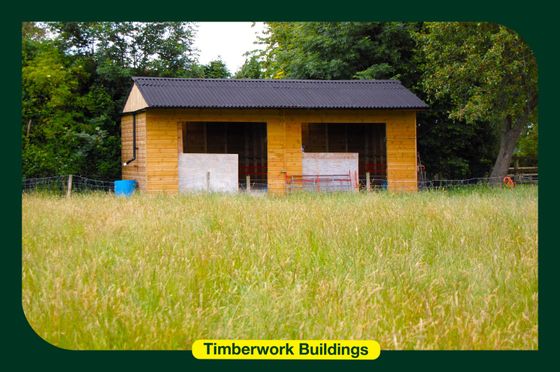 Workshops