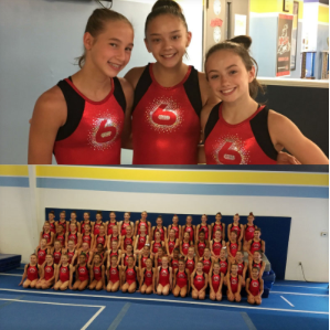 Congrats to Region 6 Developmental Gymnastics Team!