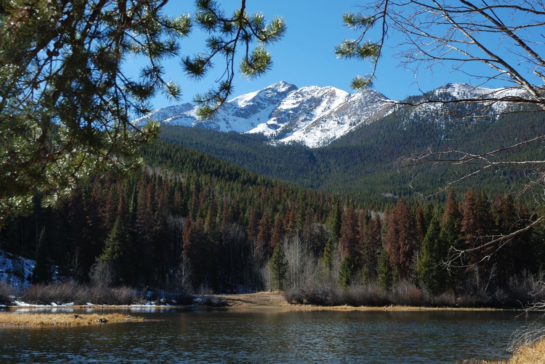 Marred Mountain Beauty