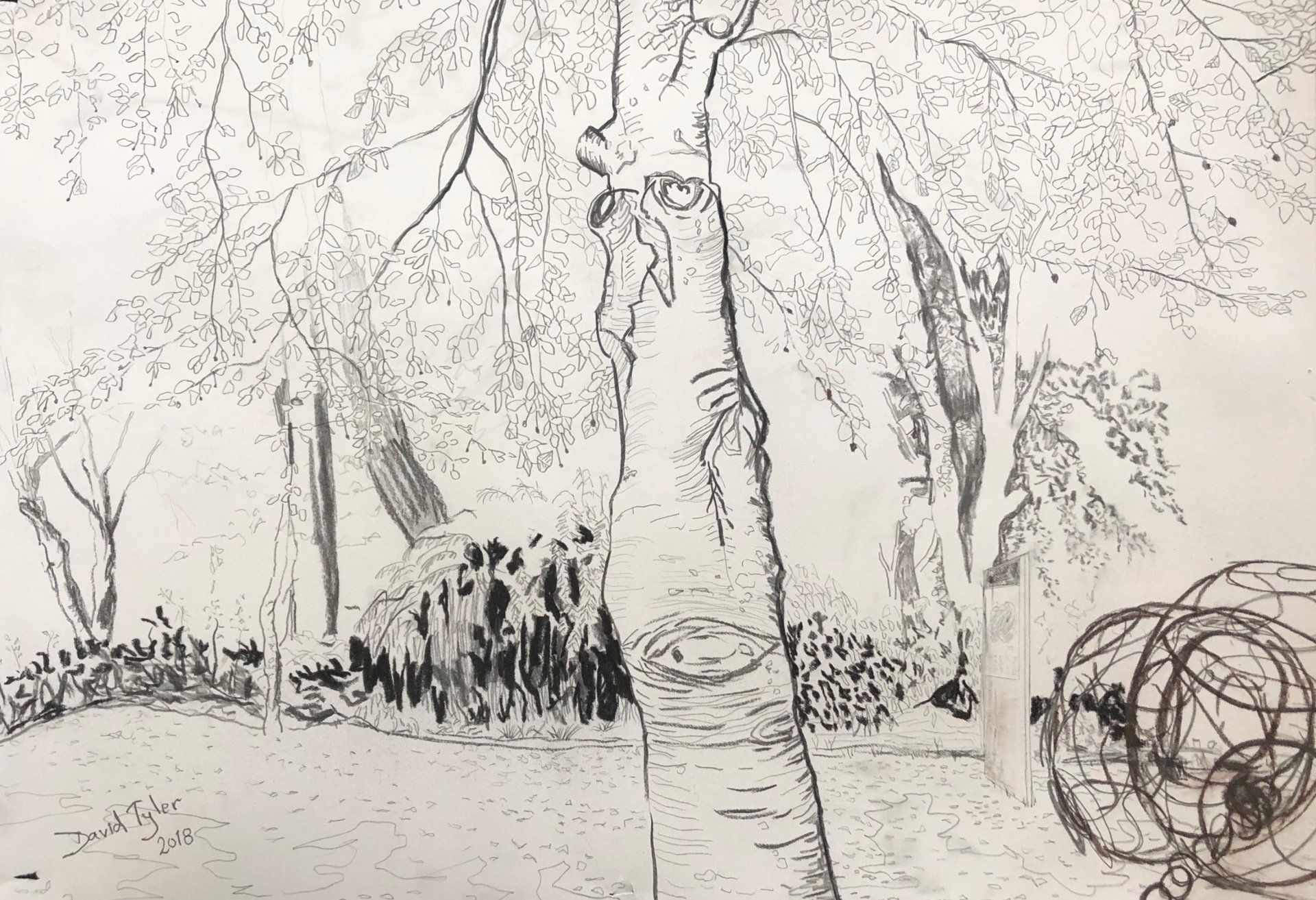 Treescape, Marlborough College, 2018