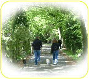 Feathwalk