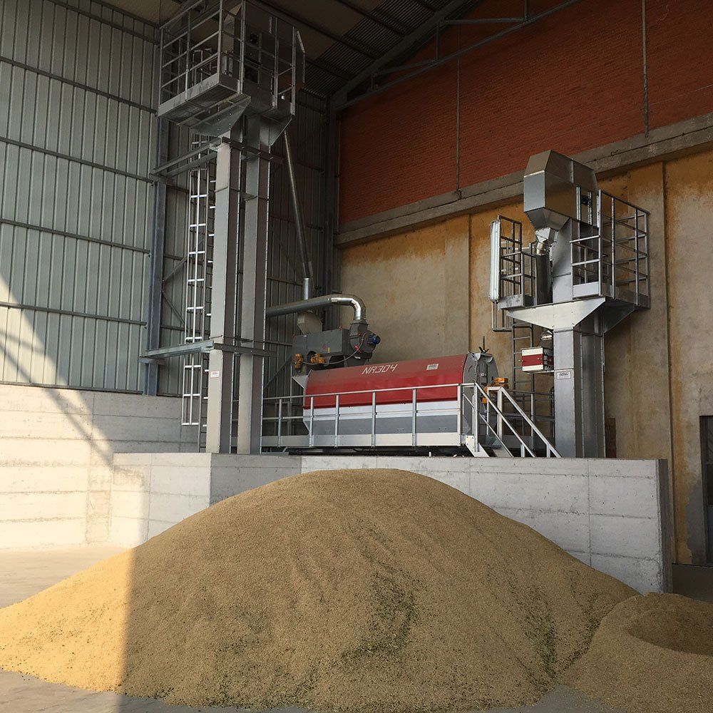 cereali in stanza essiccazione