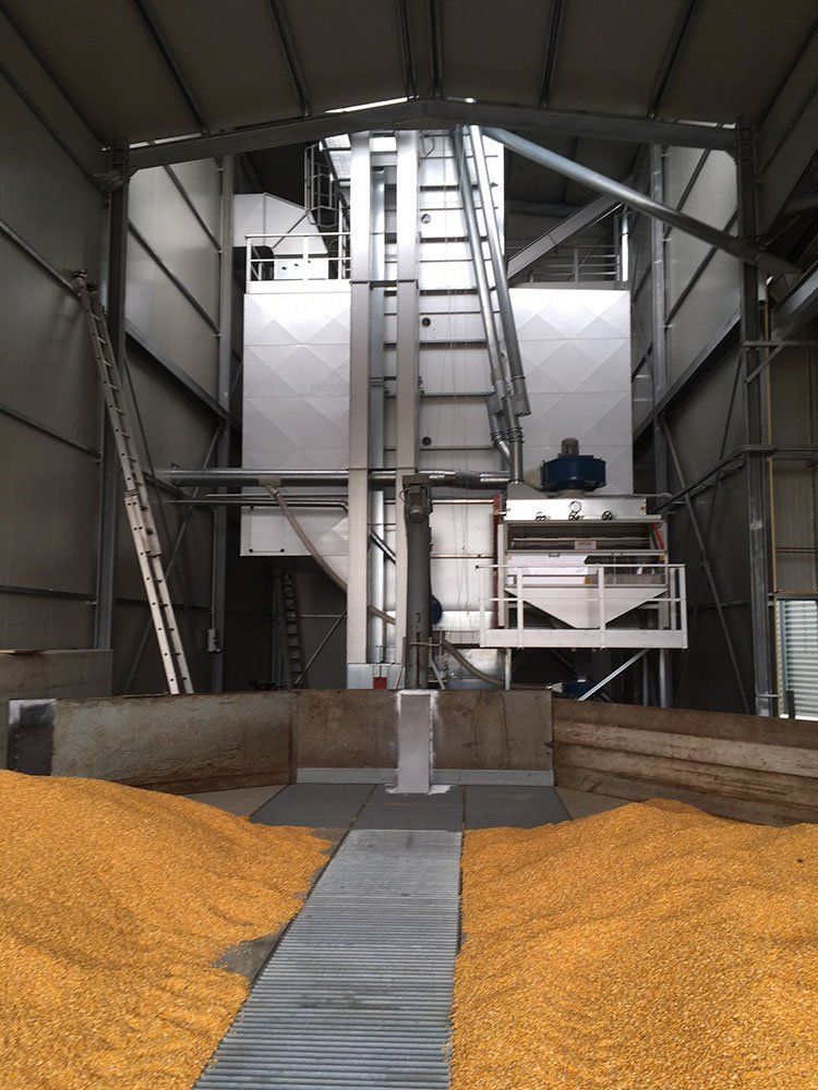 camera di essiccazione cereali