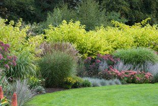 Garden Services