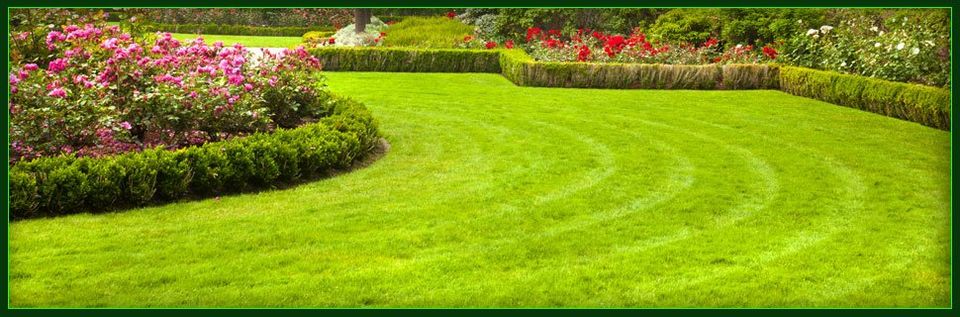Lawn Services
