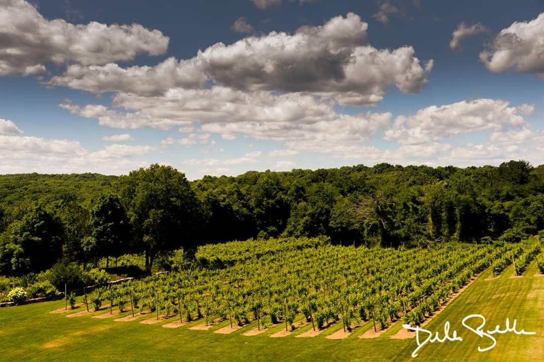 Outdoor Wedding Venue in Preston, CT