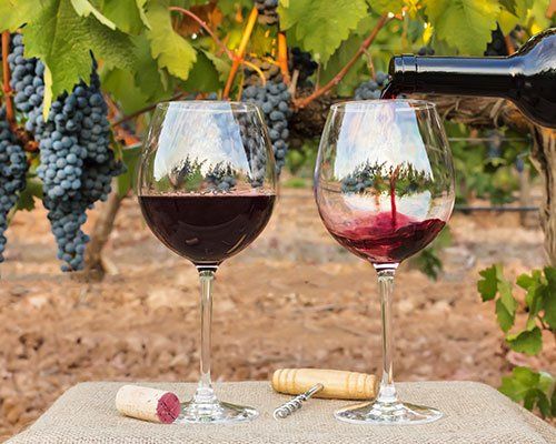 Wine Tasting