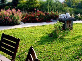 lawn