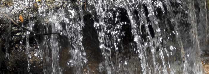 A close up of a waterfall in the woods with trees in the background.