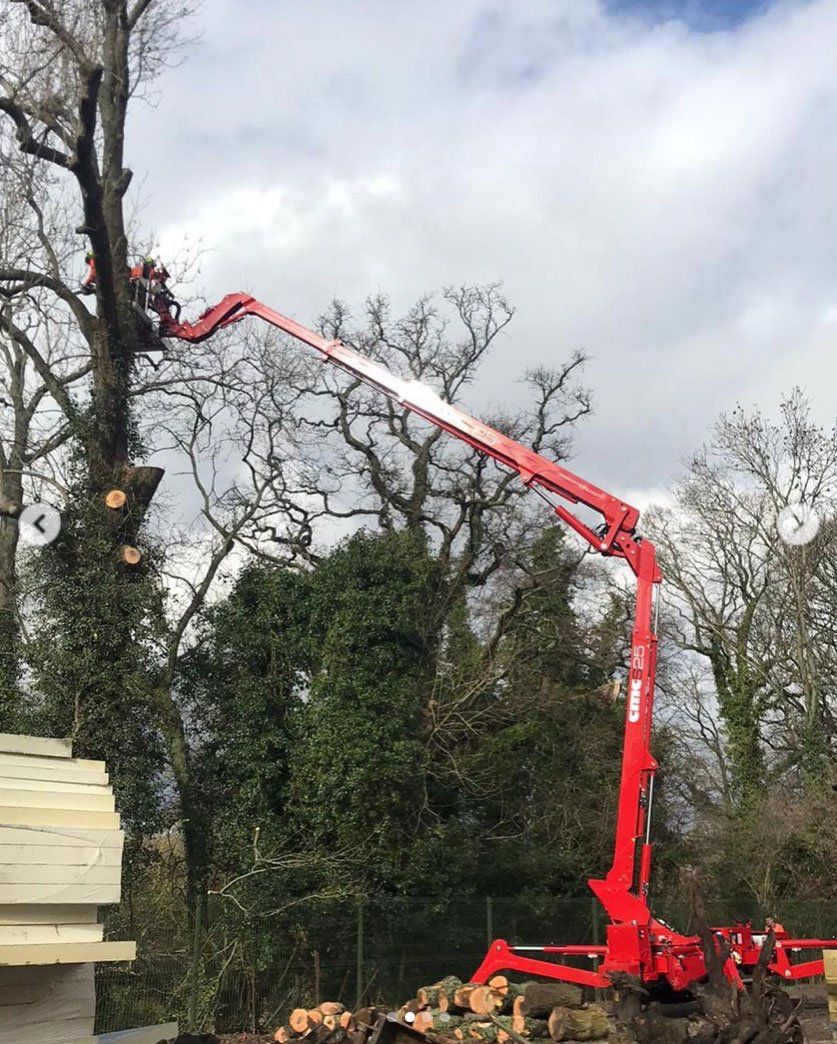 mewp access tree surgery