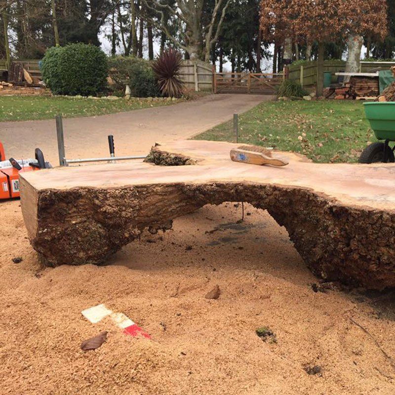 huge section of milled oak