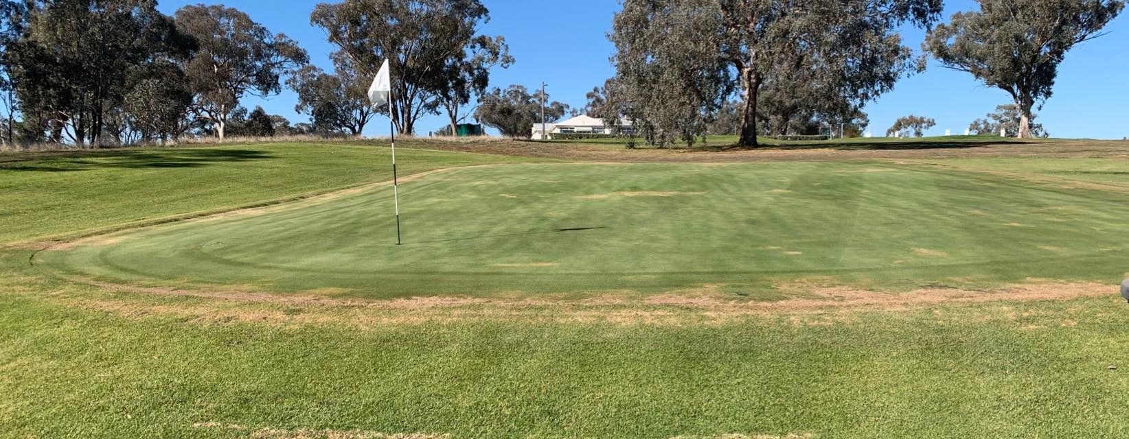 golf club