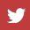 Twitter Icon