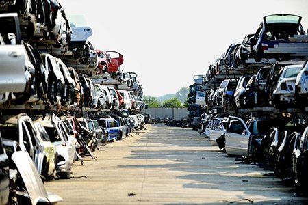 Cash For Junk Cars —Junk Cars In A Vacant Yard in Orlando, FL Cash For Junk Cars —Junk Cars In A Vacant Yard in Orlando, FL
