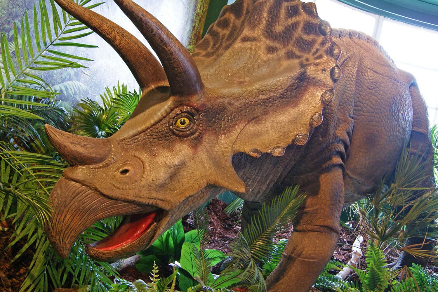 Dinosaur World in Torquay