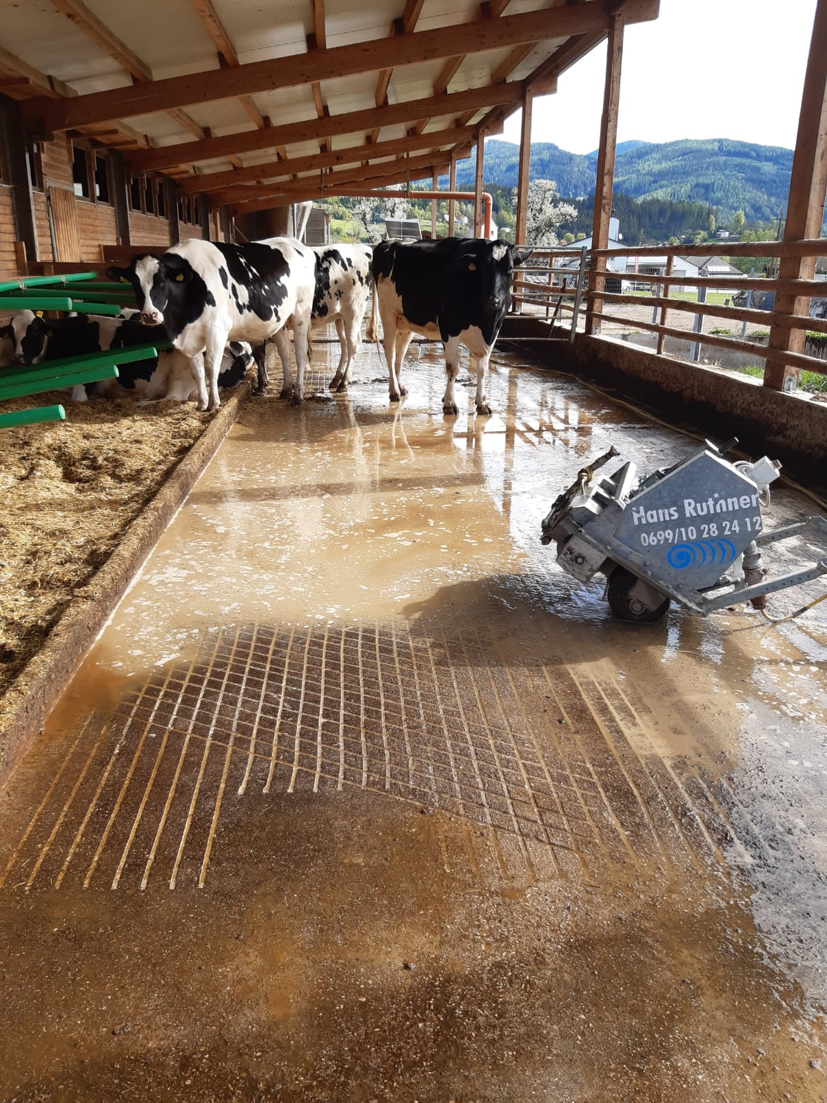 +beton+kühe+freilauf+grip+aufrauhen+ruthner+steiermark+österreich+austria+lauffläche+rillen