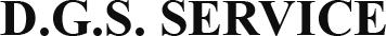 D.G.S. SERVICE - LOGO