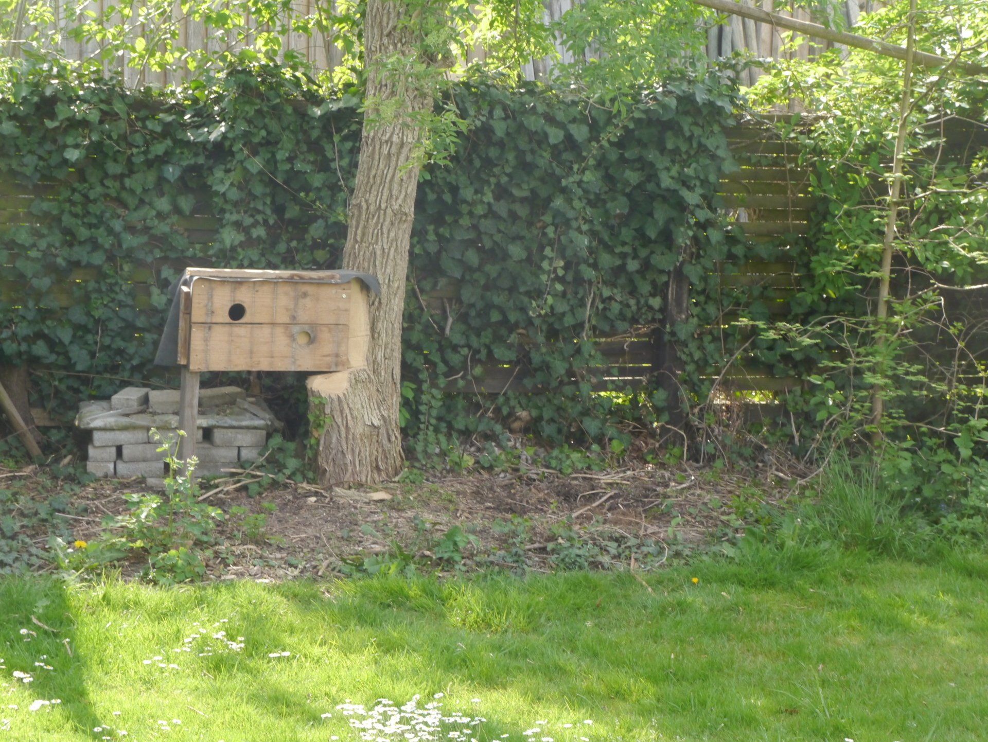 Eine Holzkiste steht unter einem Baum in einem Hof