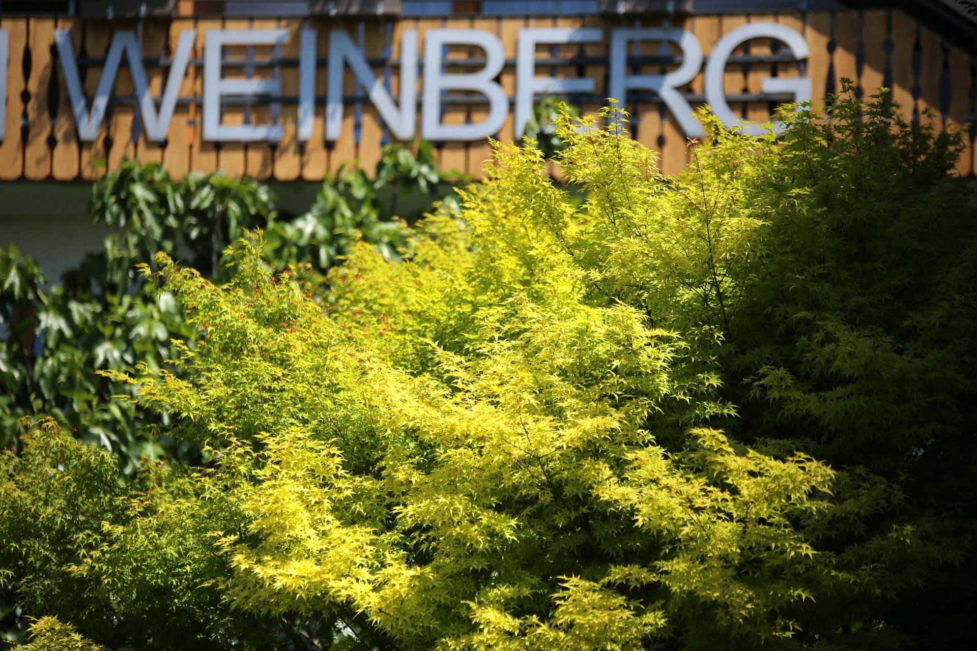 Das Wort Weinberg, das auf einem Gebäude steht
