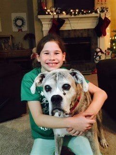 13-year-old-boxer-female 