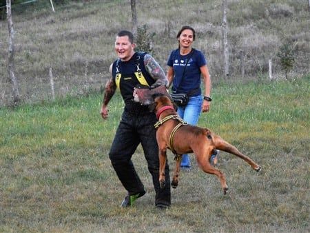 borisz-boxer-dog-training-flying