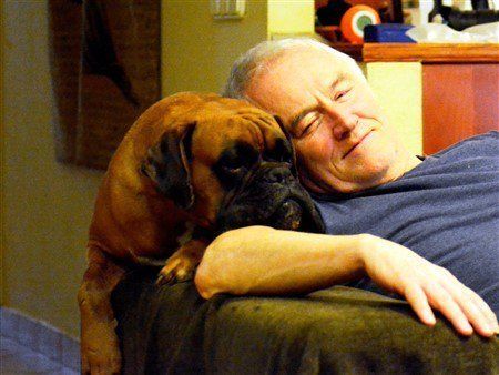 Karoly-Tihanyi -owner-of-4-Boxer-dogs
