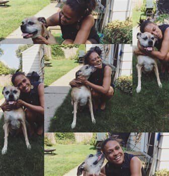 Boxer dog that lived 14 years, 8 months