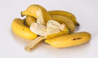 Can Boxer dog eat bananas