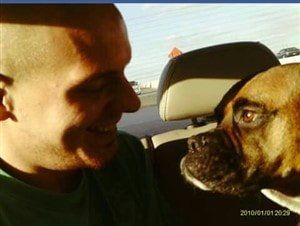female Boxer dog 13 years old