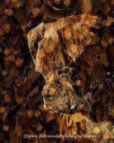 boxer-dog-art-04 