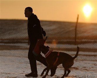 boxer-dog-clinging-to-trainer-at-sunset
