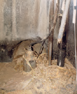Food Processing