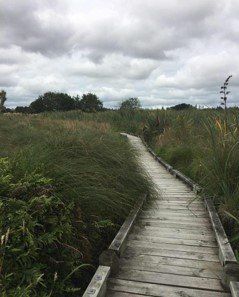 Marae Visit