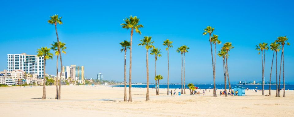Long Beach California skyline, beach, palm trees