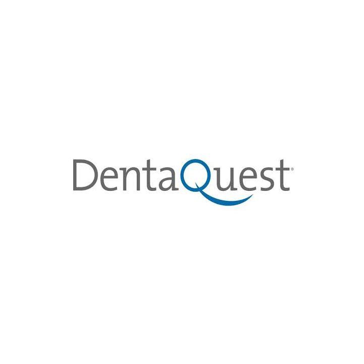 Luna-Dental-Dallas- DentaQuest logo with gray text and a blue curved line beneath the letter