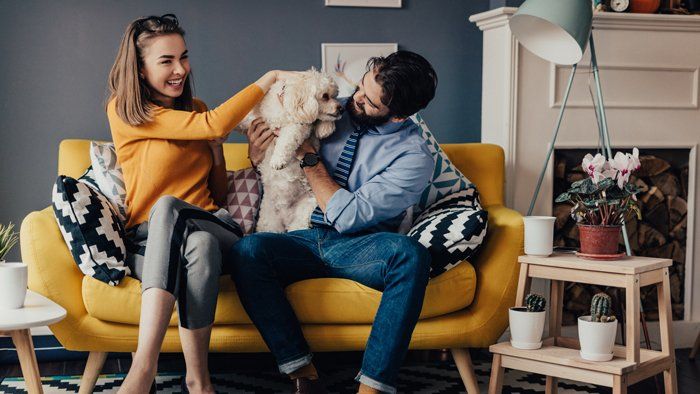 couple sitting on a yellow couch playing with a dog