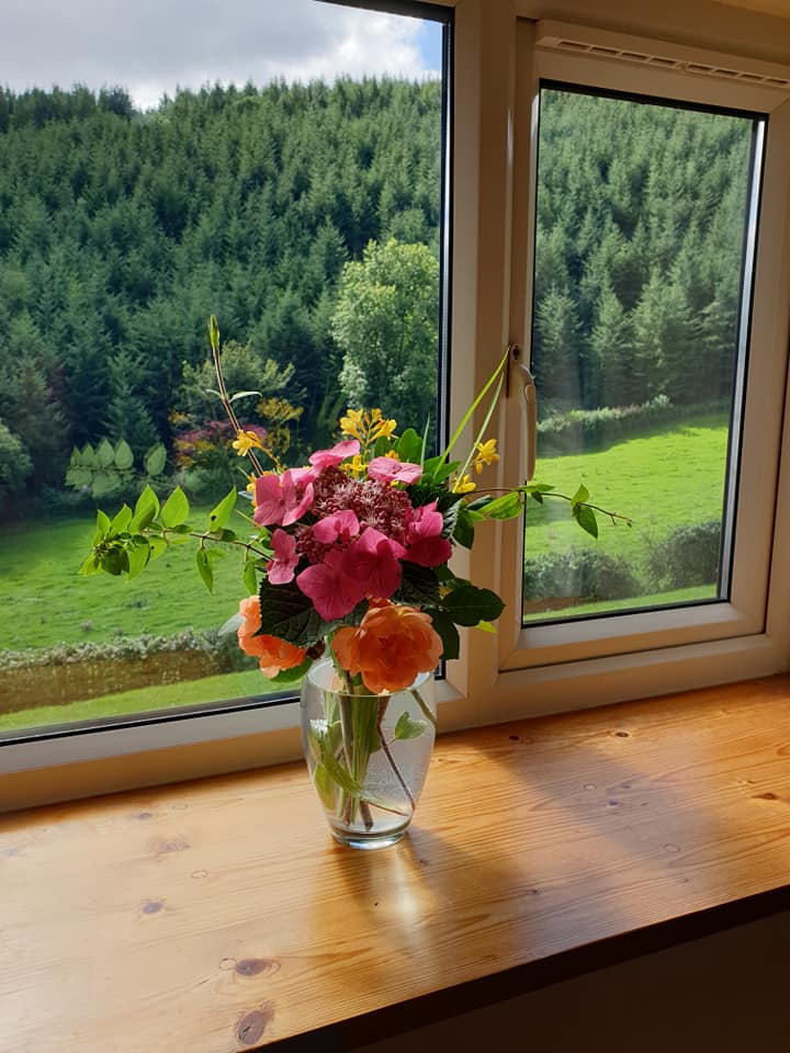Flowers in a vase on a windowsill with a view of a green field and forest.