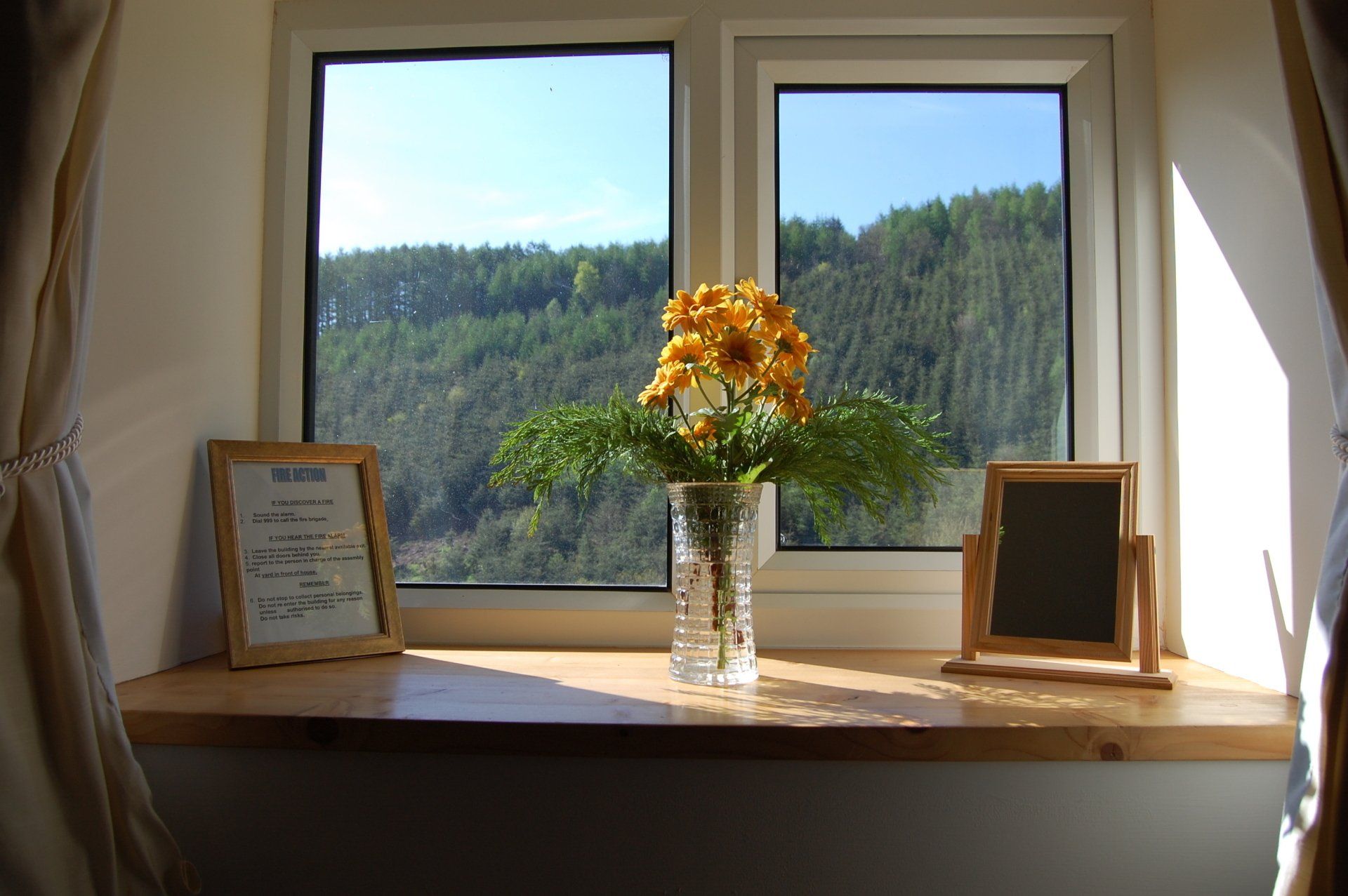 Window sill with bouquet, framed notes, and view of trees.