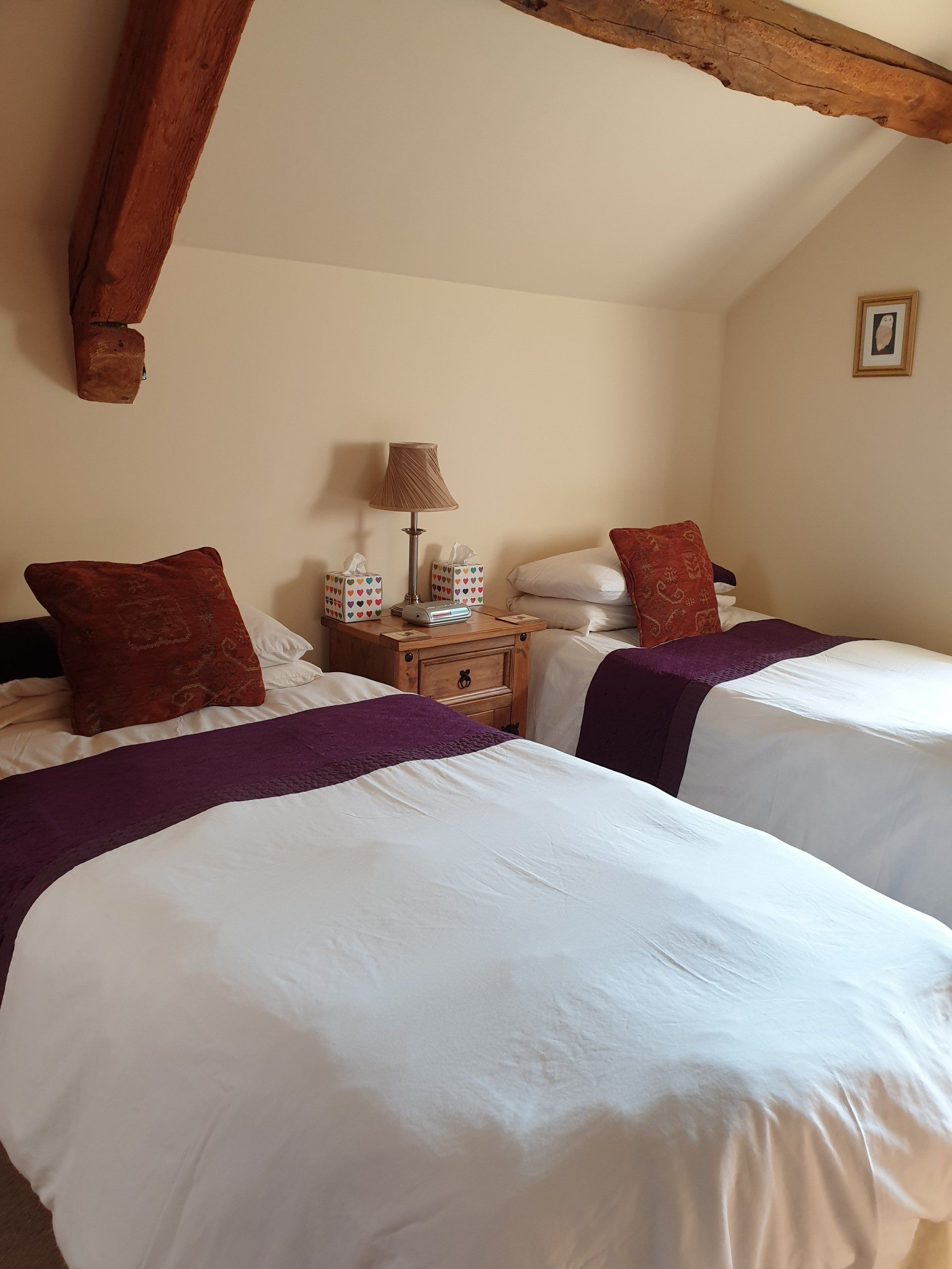 Two twin beds in a room with white bedding, purple runners, brown pillows, and a nightstand with a lamp.